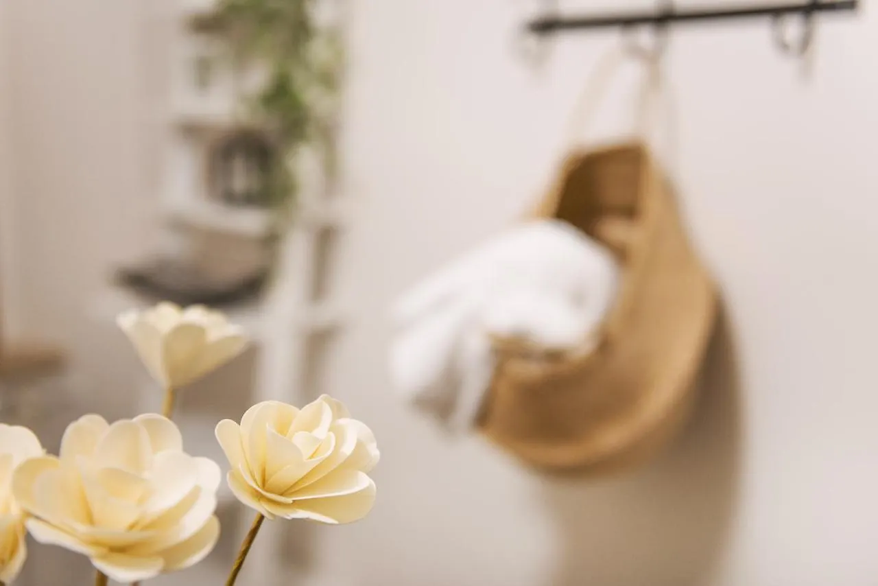 Domusbergamo - Boutique Apartment